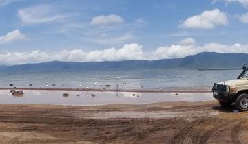 Lakeside view with flamingos and a safari vehicle.