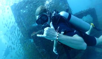 A person scuba diving next to a large fish shoal underwater.