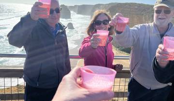 People toasting with pink cups in front of cliffs.