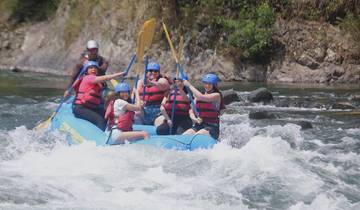 Group of people rafting on a river with paddles.