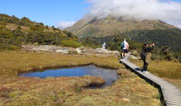 Hikers walking on a path through a lush landscape with mountains in the distance.