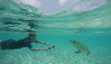 Person swimming and photographing a turtle underwater.