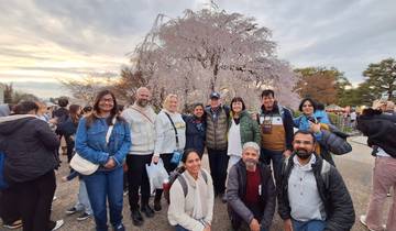 A group of tourists posing in front of a cherry blossom tree.