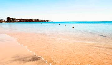 Serene beach with clear blue water and palm trees.
