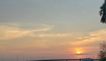 A serene sunset with pink and orange hues in the sky, a palm tree on the right.