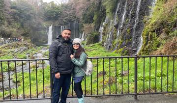 Couple standing in front of a scenic waterfall surrounded by greenery.
