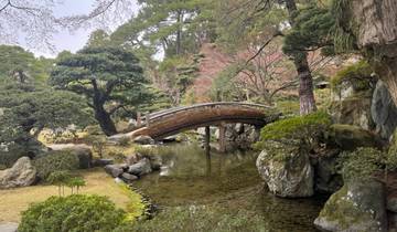 Formal garden with a rustic wooden bridge