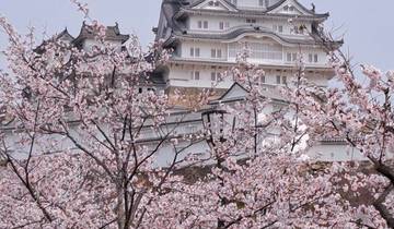Himeji Castle with cherry blossoms in the foreground.