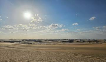 Expansive desert with a bright sun shining over the horizon.