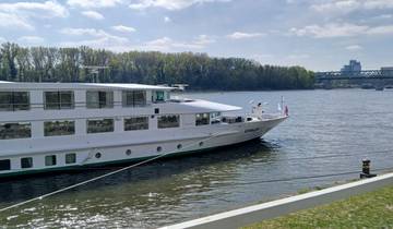 A cruise ship moored at a riverbank with trees and a bridge in the background.