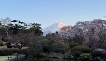 Majestic view of Mount Fuji with cherry blossoms in the foreground.