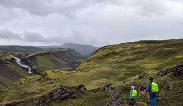 Hikers viewing a waterfall in a vast green landscape.