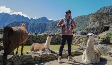 A person posing with llamas at the iconic Machu Picchu site.