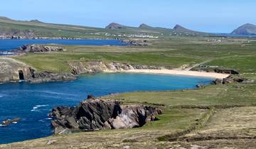 Scenic coastline with green fields and sandy beach.