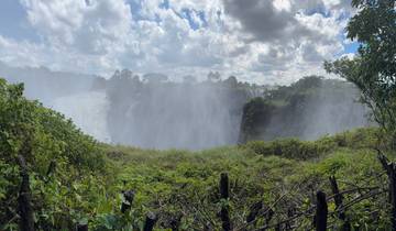 Victoria Falls with mist and lush greenery under cloudy sky.