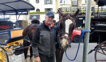 Man standing with a horse and carriage.