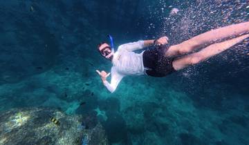 A person snorkeling underwater with clear blue sea.