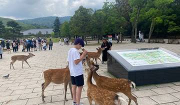 People interacting with friendly wild deer in a park.