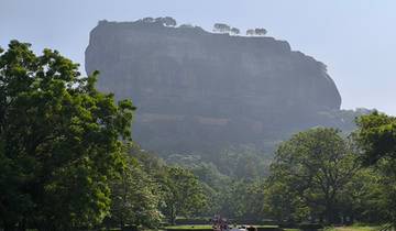 A view of a large rock fortress surrounded by greenery.
