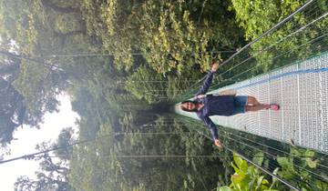 A person walking on a hanging bridge in a lush forest.