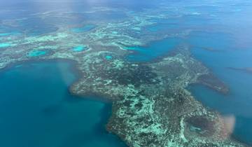 Aerial view of a vibrant coral reef.