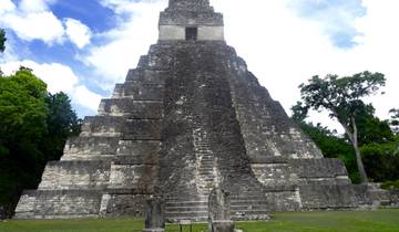 An ancient stepped pyramid in the jungle.
