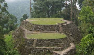 Stone terraces surrounded by dense forest.