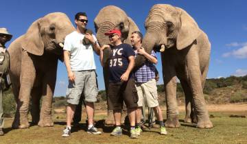 Group of adults with elephants outdoors.