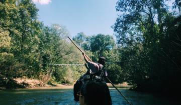 Person paddling a boat down a forest-lined river.