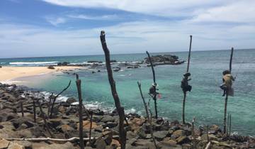 People fishing traditionally on stilts against a beautiful seascape.