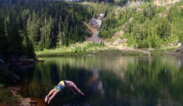 Person diving into a clear lake surrounded by forest.