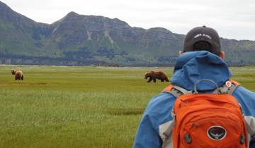 Person with bears in a grassland setting