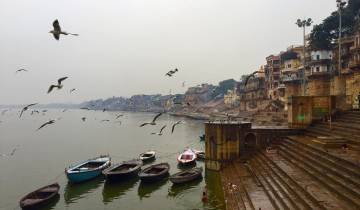 View of boats docked along a riverbank with birds flying overhead.