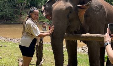 Person interacting with an elephant in a scenic green area.