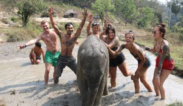 Group enjoying mud bath with elephant.