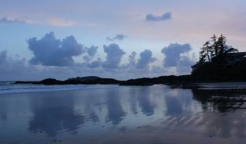 Beach with reflections of clouds and trees.