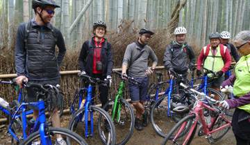 Group of cyclists in a bamboo forest.