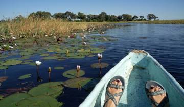 Canoe on a lily-covered river in a natural setting.