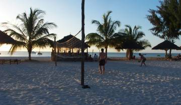 Beach scene with people playing volleyball at sunset.