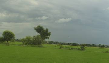 Lush green fields with cloudy skies.