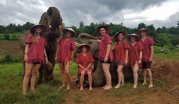 Group of people interacting with elephants in lush surroundings.