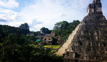 Ancient stone pyramid in a lush jungle setting.