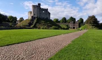 People walking near an ancient castle with lush green field.
