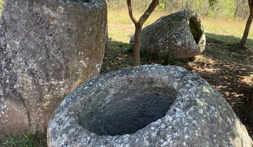 Stone jars on the ground surrounded by grass and trees.