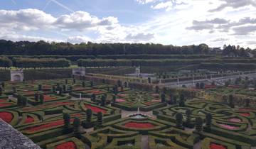 Beautifully designed and vibrant garden with intricate patterns.