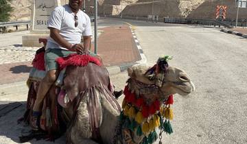 A person sitting on a decorated camel on a sunny day in a desert or roadside area.