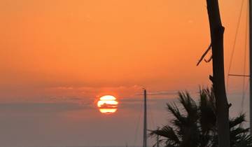Beautiful sunset over the ocean, silhouetting palm trees.