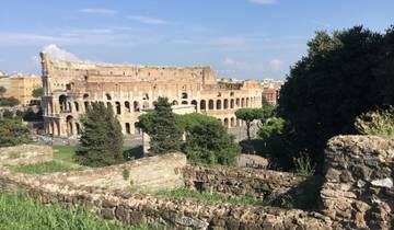 Famous Roman Colosseum with lush greenery in the foreground.