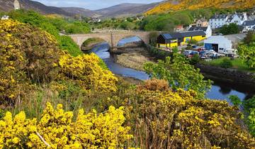 A colorful village by a river with a stone bridge.