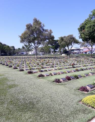 A serene cemetery with countless graves and trees.